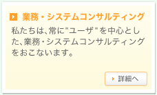 業務・システムコンサルティング